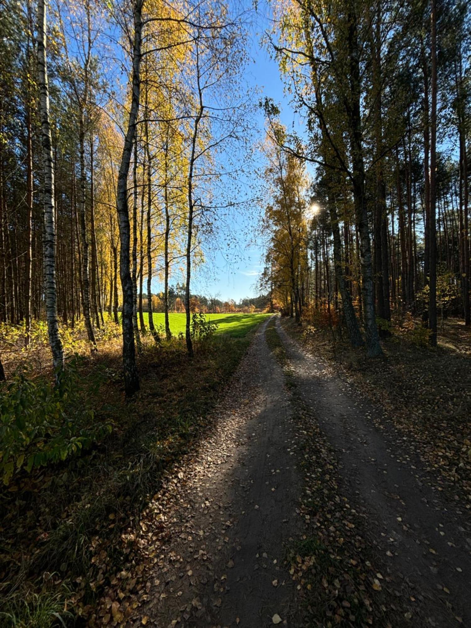 Folwark Minikowo - Agroturystyka W Borach Tucholskich - 5 Pokoi Z Prywatnymi Lazienkami Byslaw Exterior foto